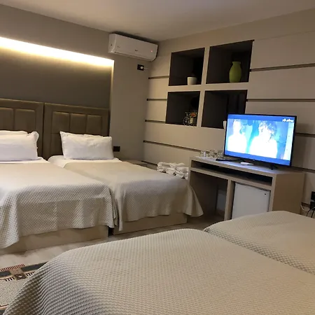 弗雷迪酒店 酒店 3*