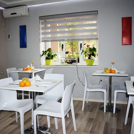 Hotell Freddy's Tirana