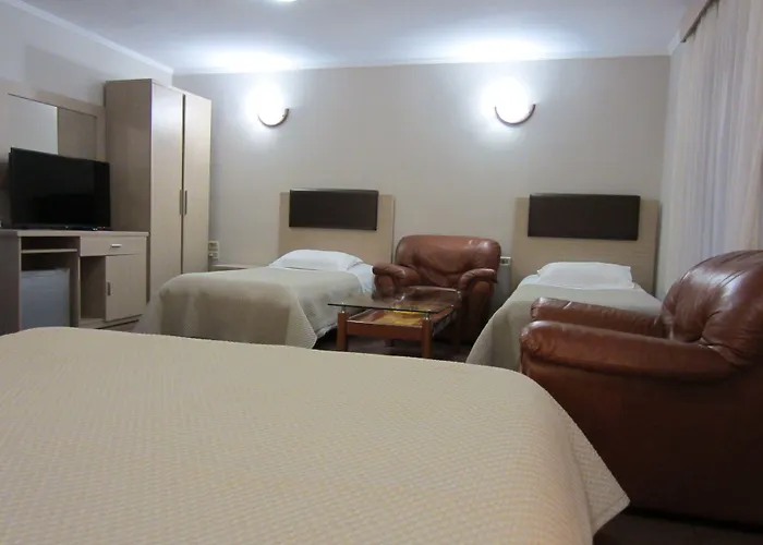 弗雷迪酒店 酒店 3*