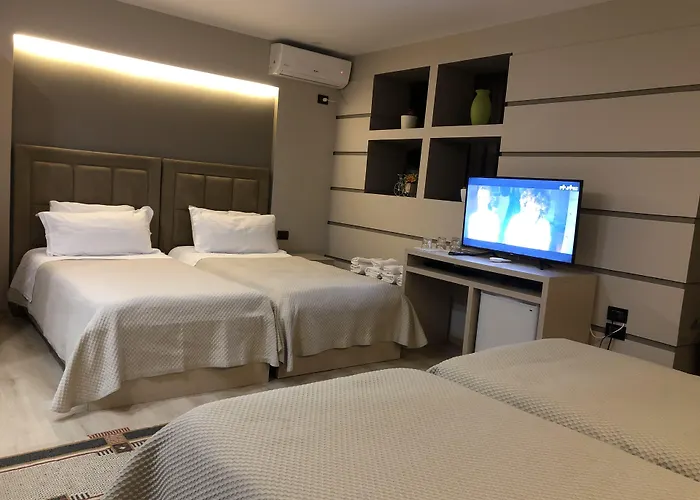 弗雷迪酒店 酒店 3*