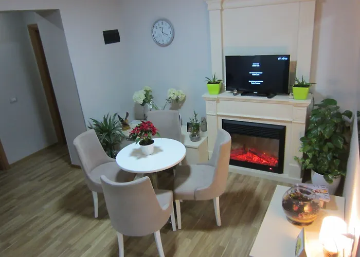 酒店 弗雷迪酒店 地拉那